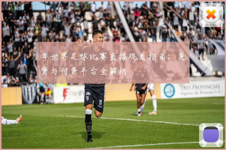 年世界足球比赛直播观看指南:免费与付费平台全解析
