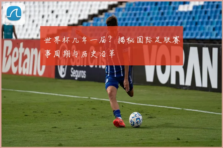 世界杯几年一届？揭秘国际足联赛事周期与历史沿革
