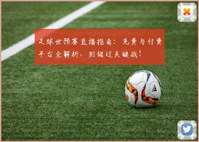 足球世预赛直播指南:免费与付费平台全解析,别错过关键战!