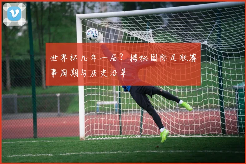 世界杯几年一届?揭秘国际足联赛事周期与历史沿革